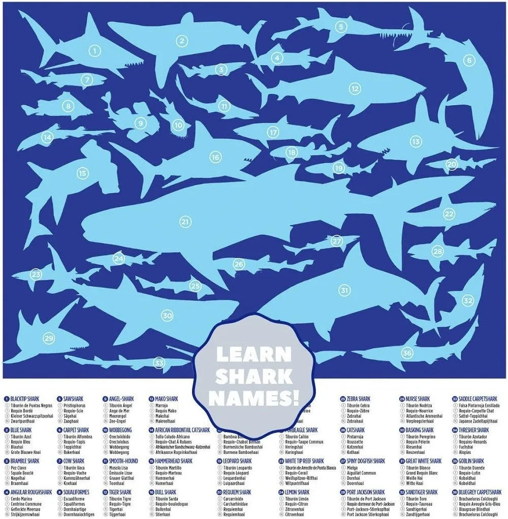 100-pc Puzzle 36-Sharks