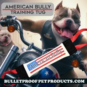 American Bully Fire Hose Training Tug