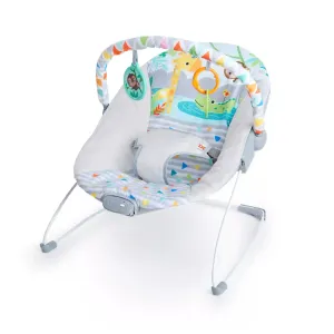 Bright Starts Safari Fun Vibrating Bouncer