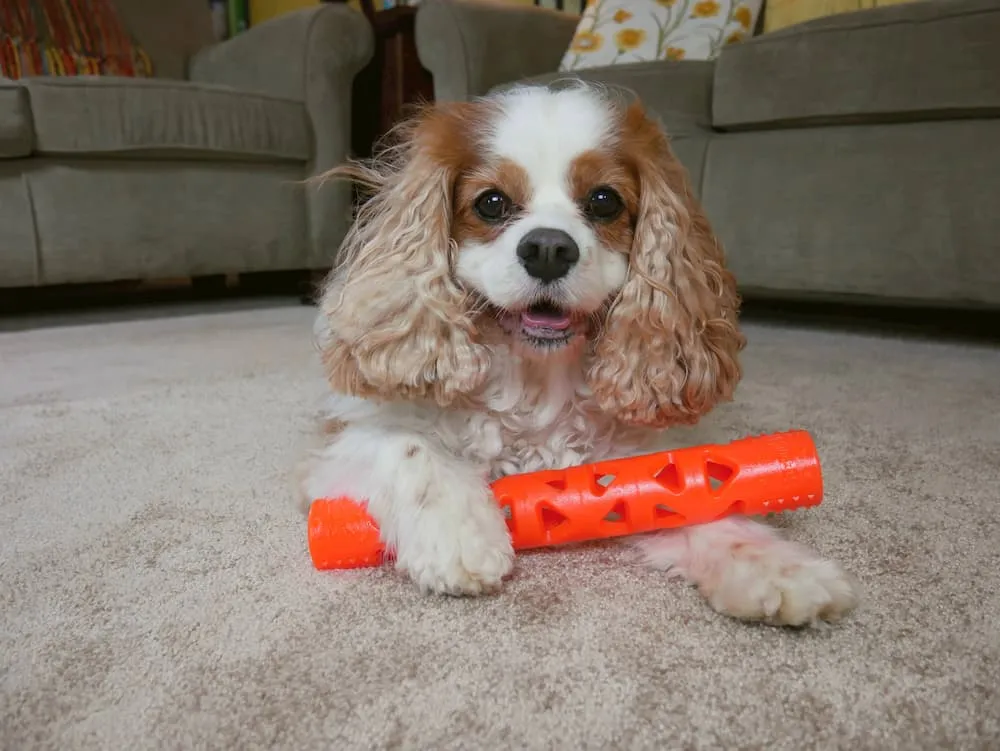 Chuckit Air Fetch Stick