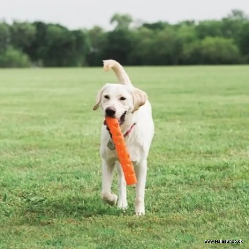 Chuckit Air Fetch Stick