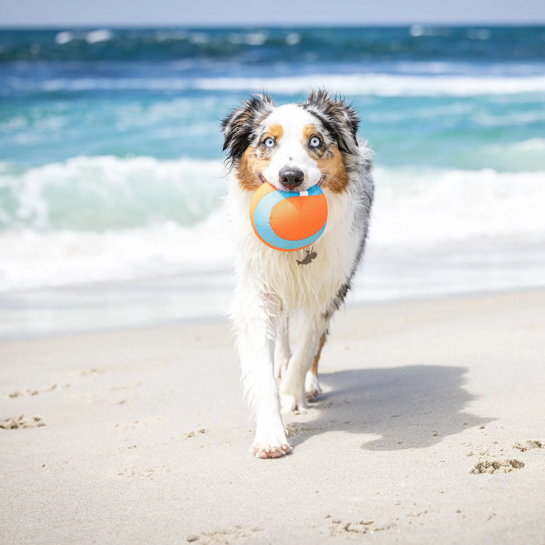 Chuckit! Amphibious Mega Ball