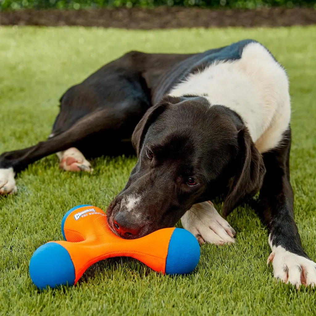 Chuckit! Tri-Bumper Toy For Dogs