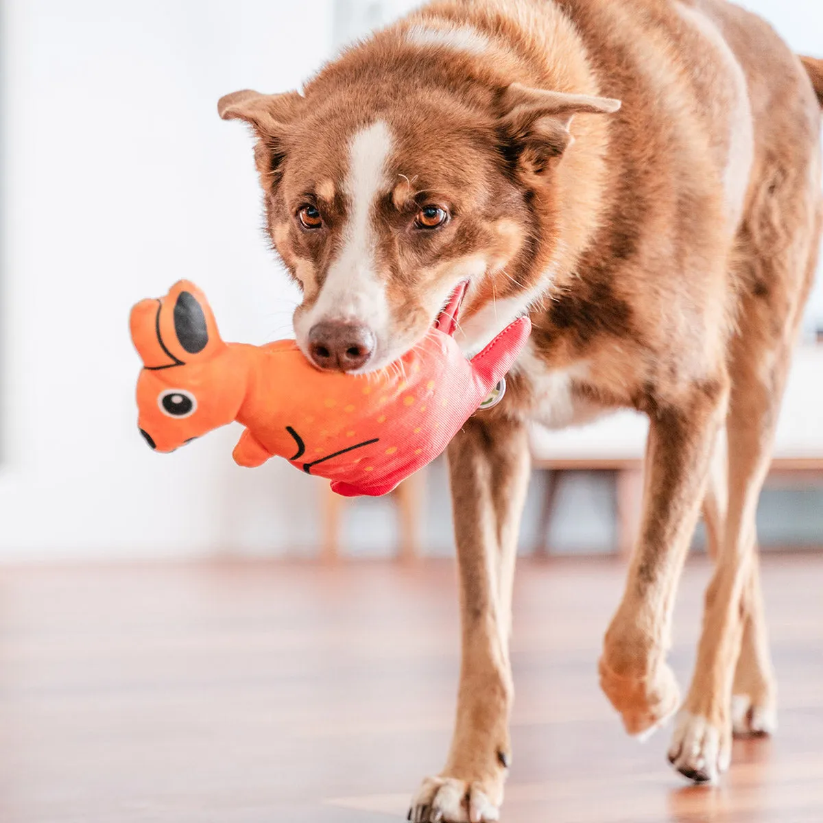 Durables Kath The Kangaroo Dog Toy