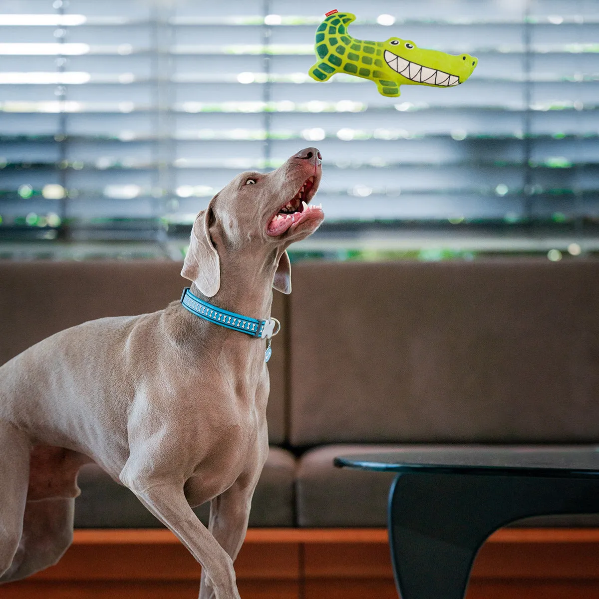 Durables Kyle The Crocodile Dog Toy