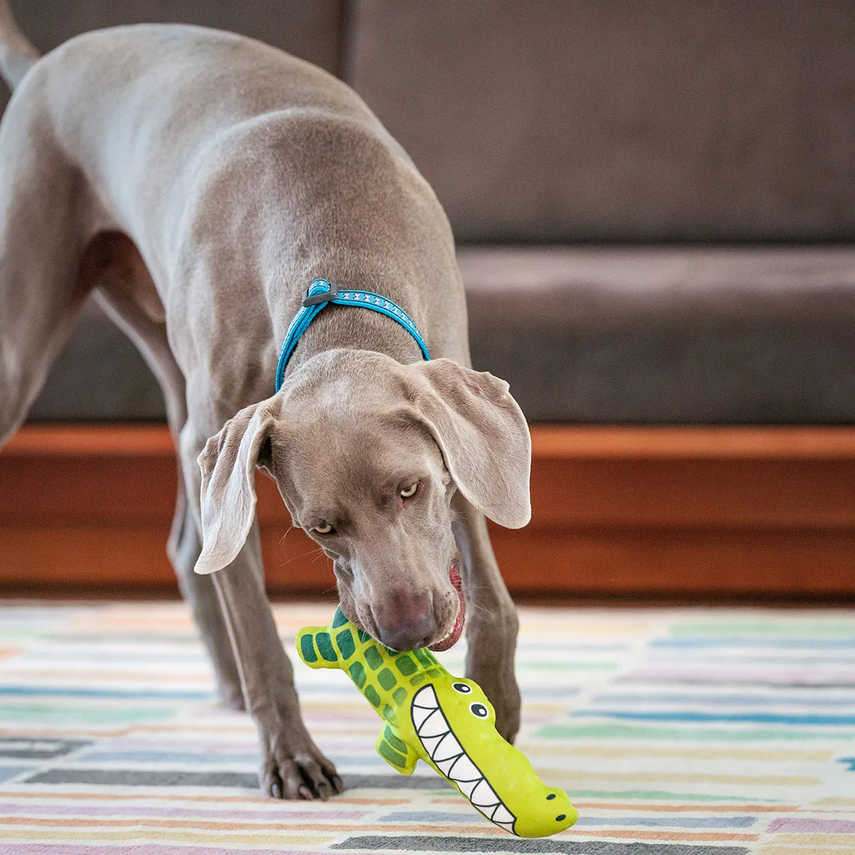 Durables Kyle The Crocodile Dog Toy