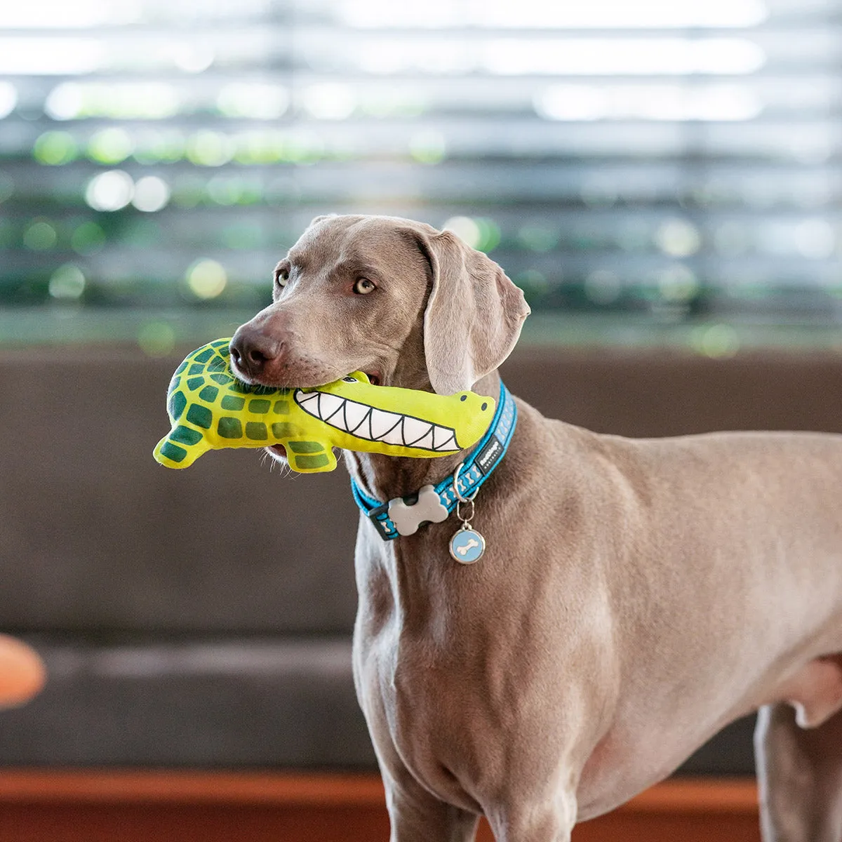 Durables Kyle The Crocodile Dog Toy