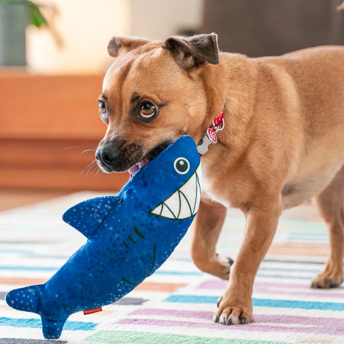 Durables Steve The Shark Dog Toy