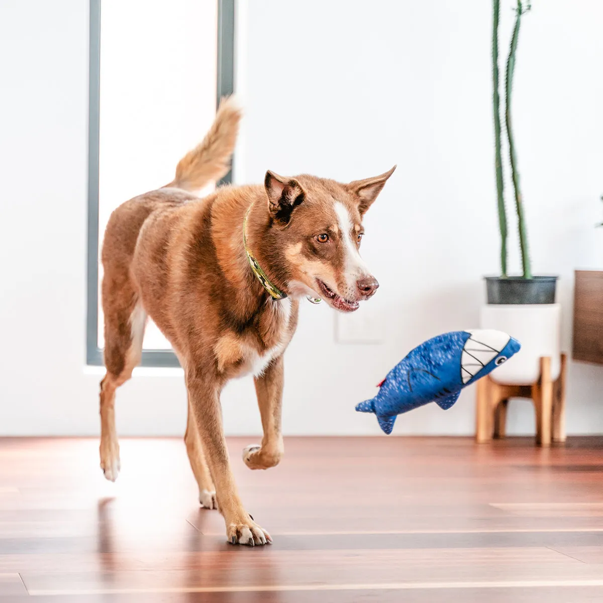 Durables Steve The Shark Dog Toy