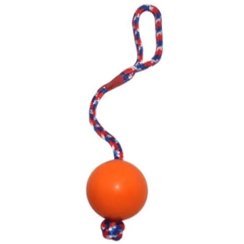 Emily Pets Rubber Ball with Rope Chew Toy for Dogs (Red)