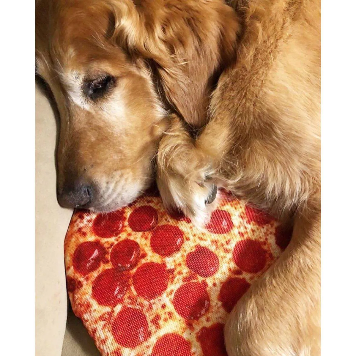 Fabdog | 10" Pizza Dog Toy