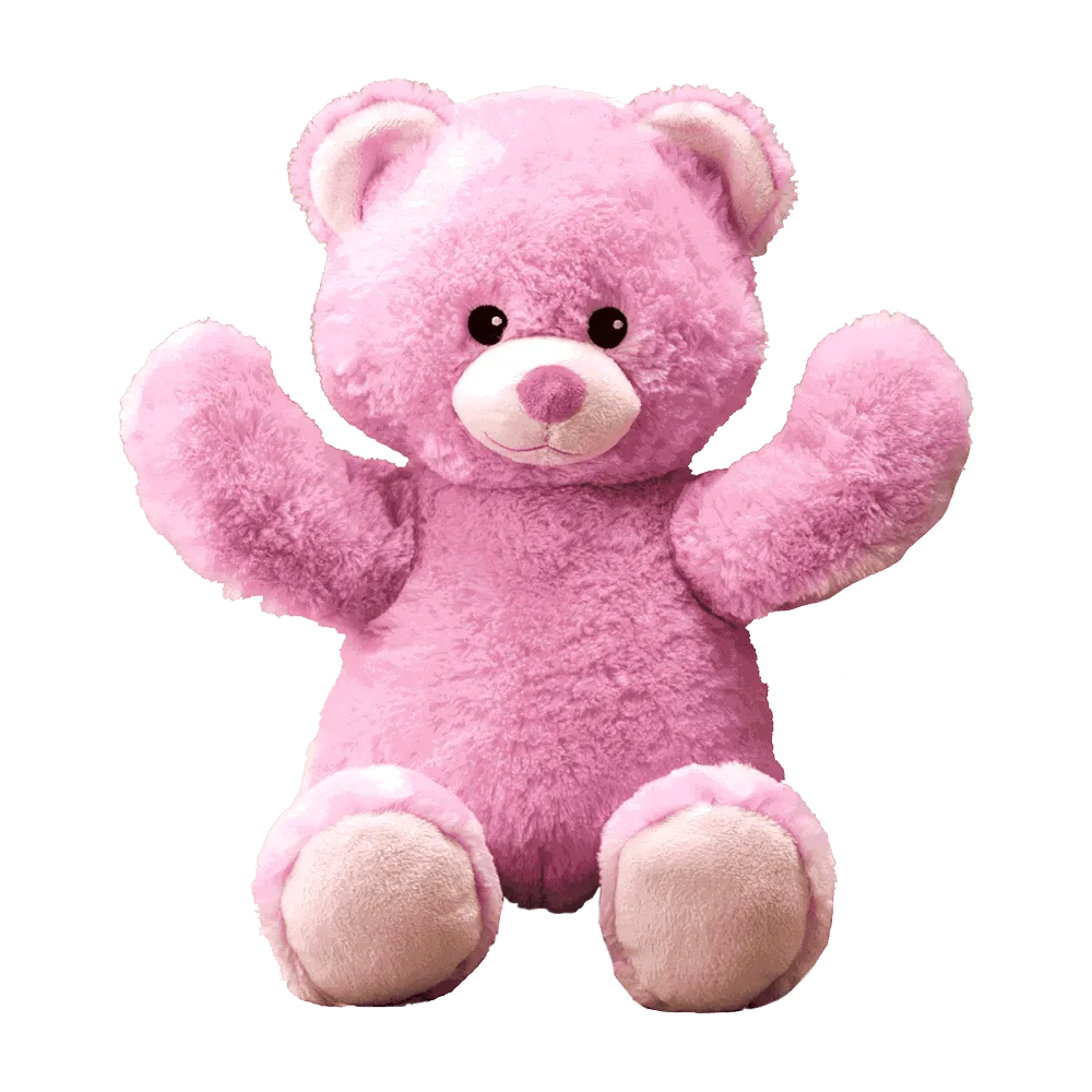 Flipemz Pink Bear to Butterfly Fairy Bear Plush Toy