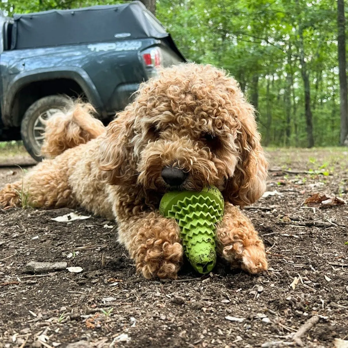 Interactive Treat Dispensing Puzzle Rubber Dog Toy: Evergreen Tree