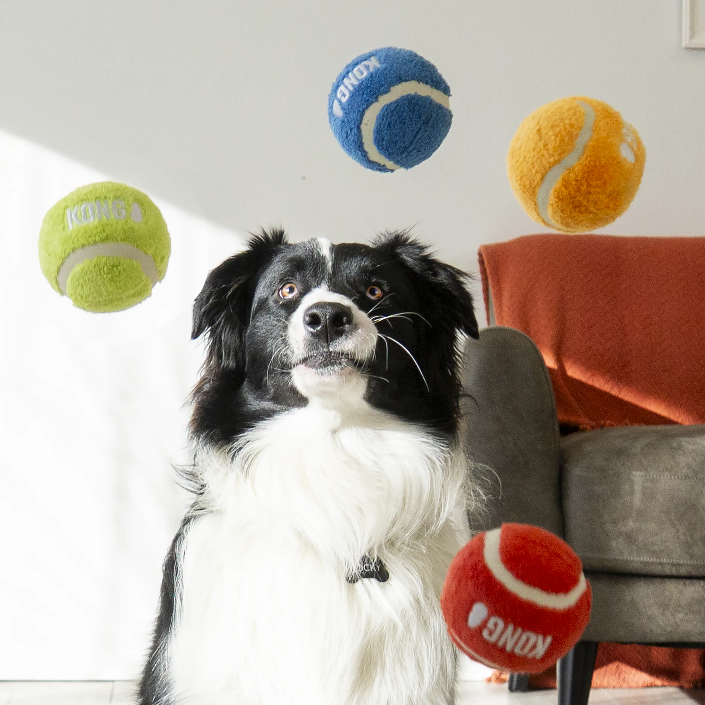 KONG Sport Softies Ball 2-Pk Assorted Dog Toy