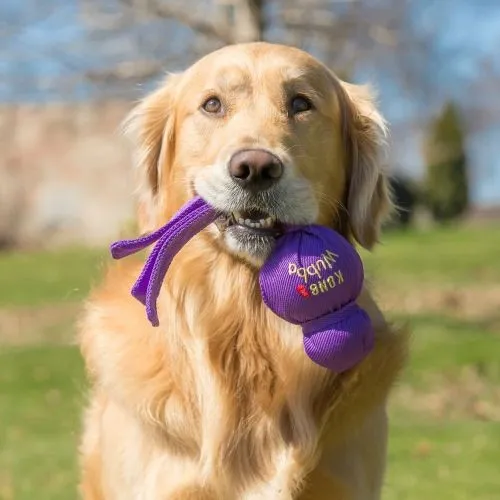 Kong Wubba Dog Toy Large