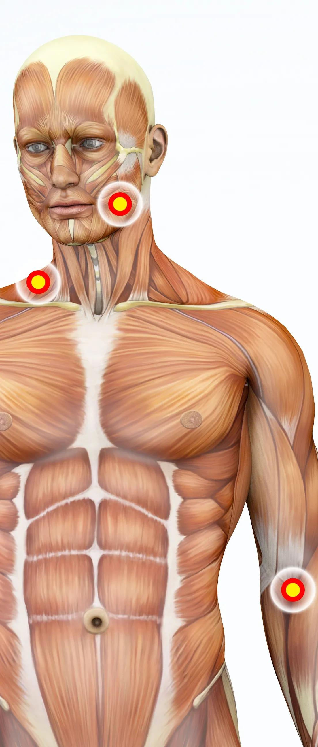 LIVE IN-PERSON 12 CE Hour Trigger Point & Neuromuscular Therapy Basics