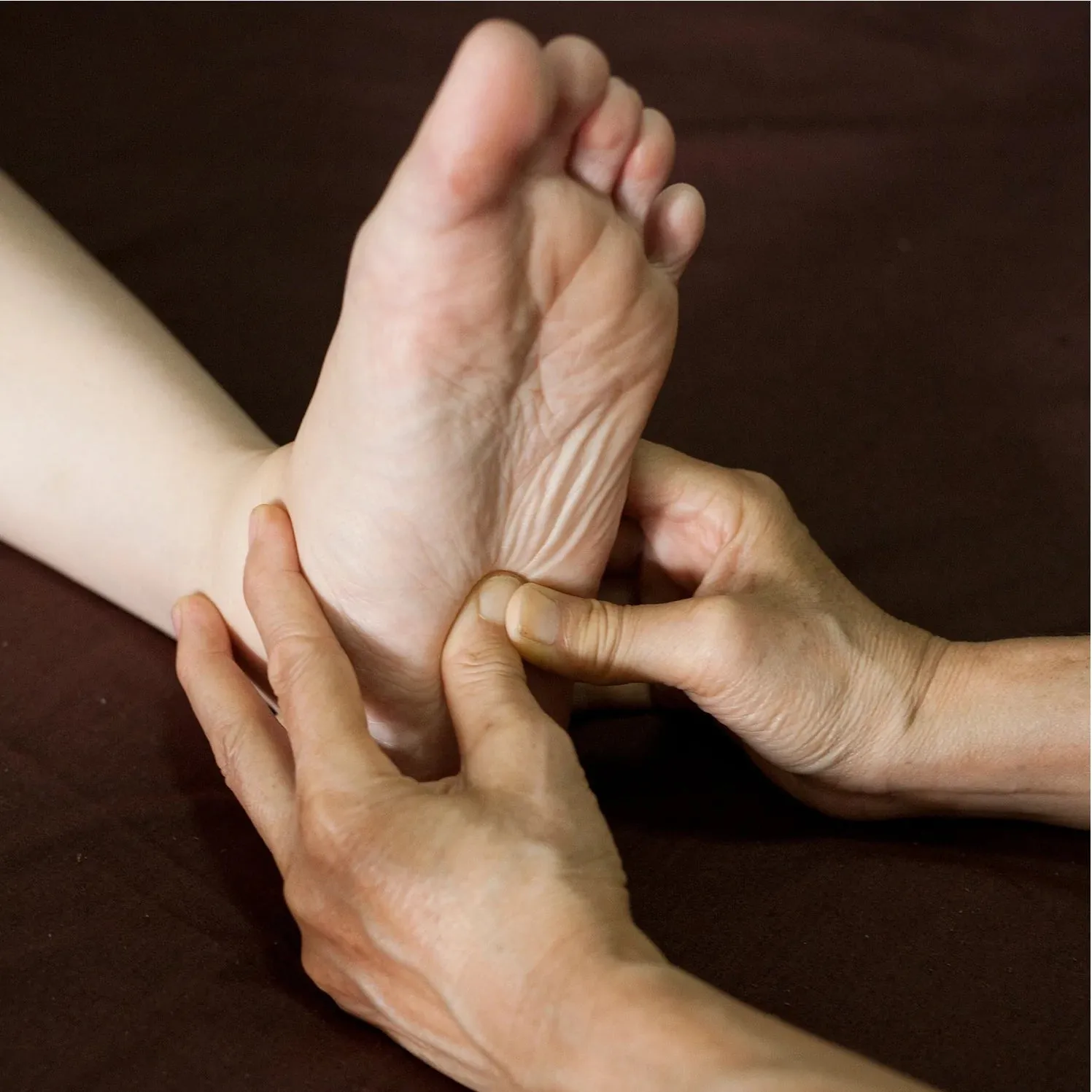 LIVE IN-PERSON 6 CE Hour Foot Reflexology Basics