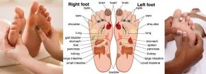 LIVE IN-PERSON 6 CE Hour Foot Reflexology Basics