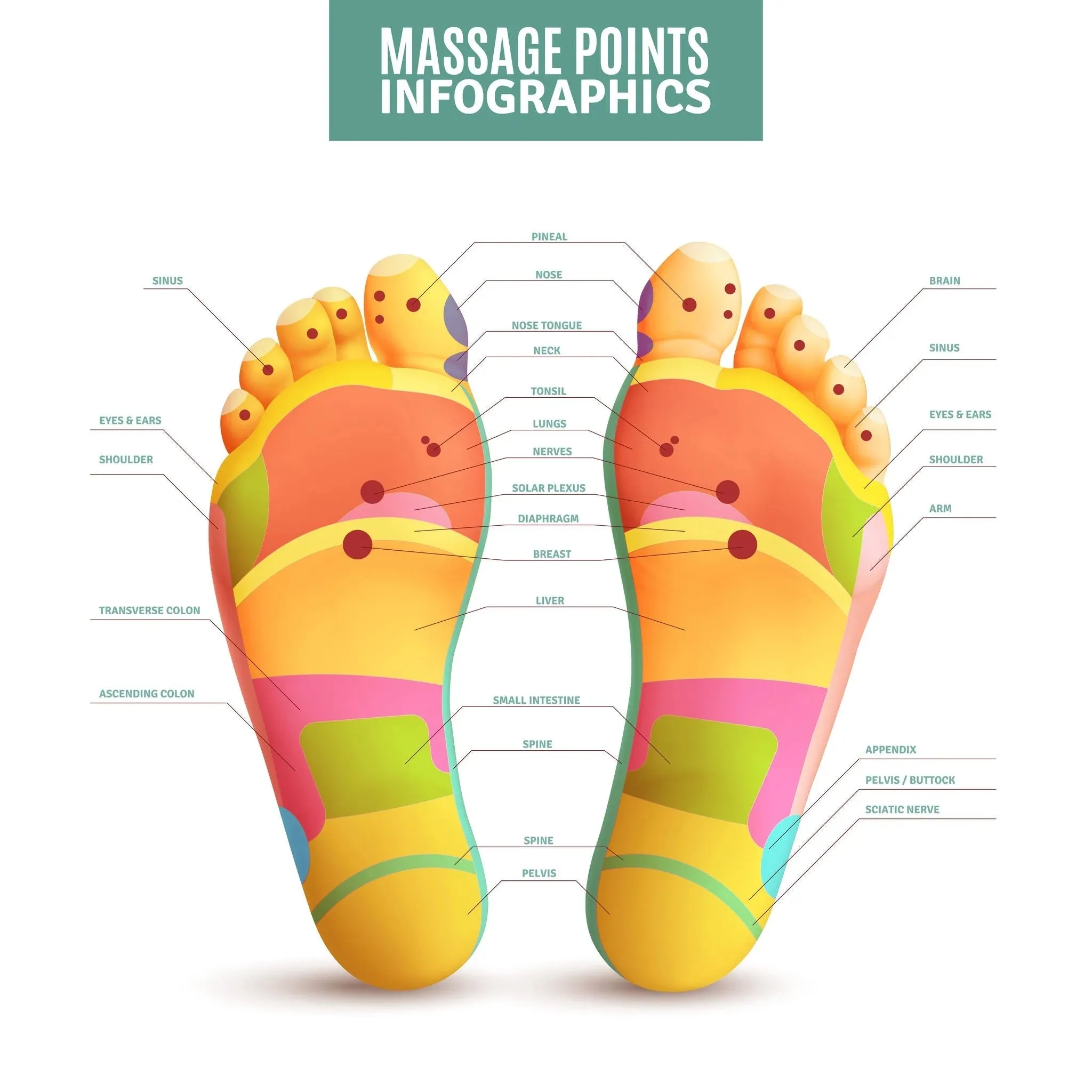 LIVE IN-PERSON 6 CE Hour Foot Reflexology Basics