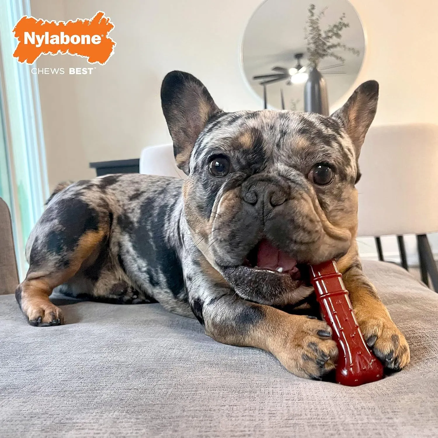 Nylabone Power Chew Basted