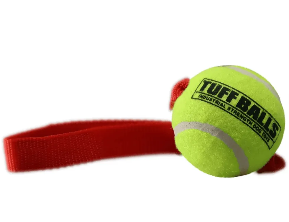 Petsport Fetch Me Fido - Mini