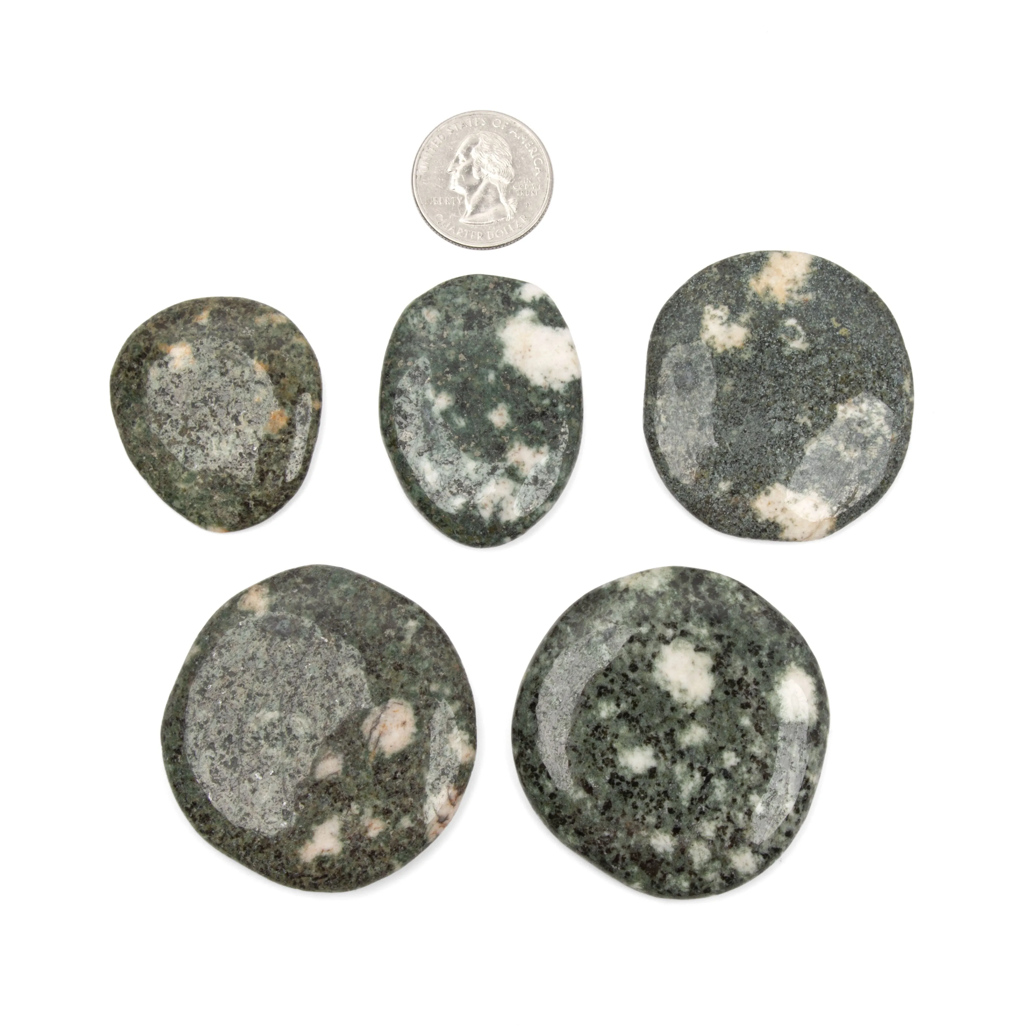 Preseli Bluestone Discs