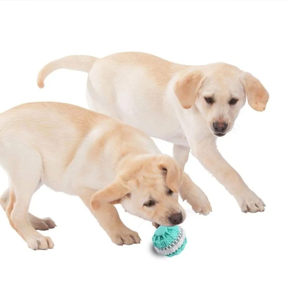 Rubber Ball Food Dispensing And Chewing Toy