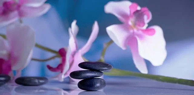 Self-paced Online Home Study 12 CE Hot Stone Massage Workshop