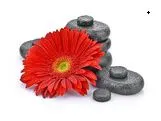 Self-paced Online Home Study 12 CE Hot Stone Massage Workshop