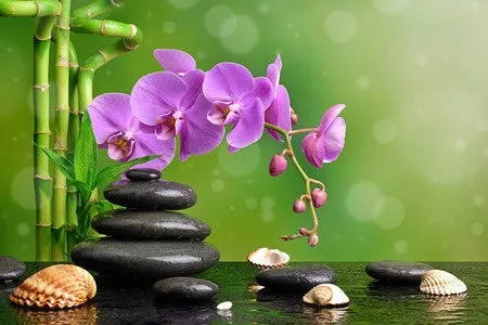 Self-paced Online Home Study 12 CE Hot Stone Massage Workshop