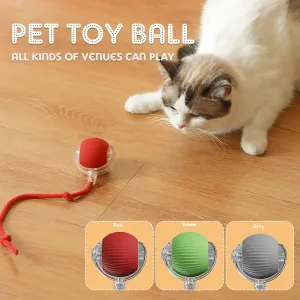 Smart Rechargeable Cat & Dog Interactive Rolling Toy