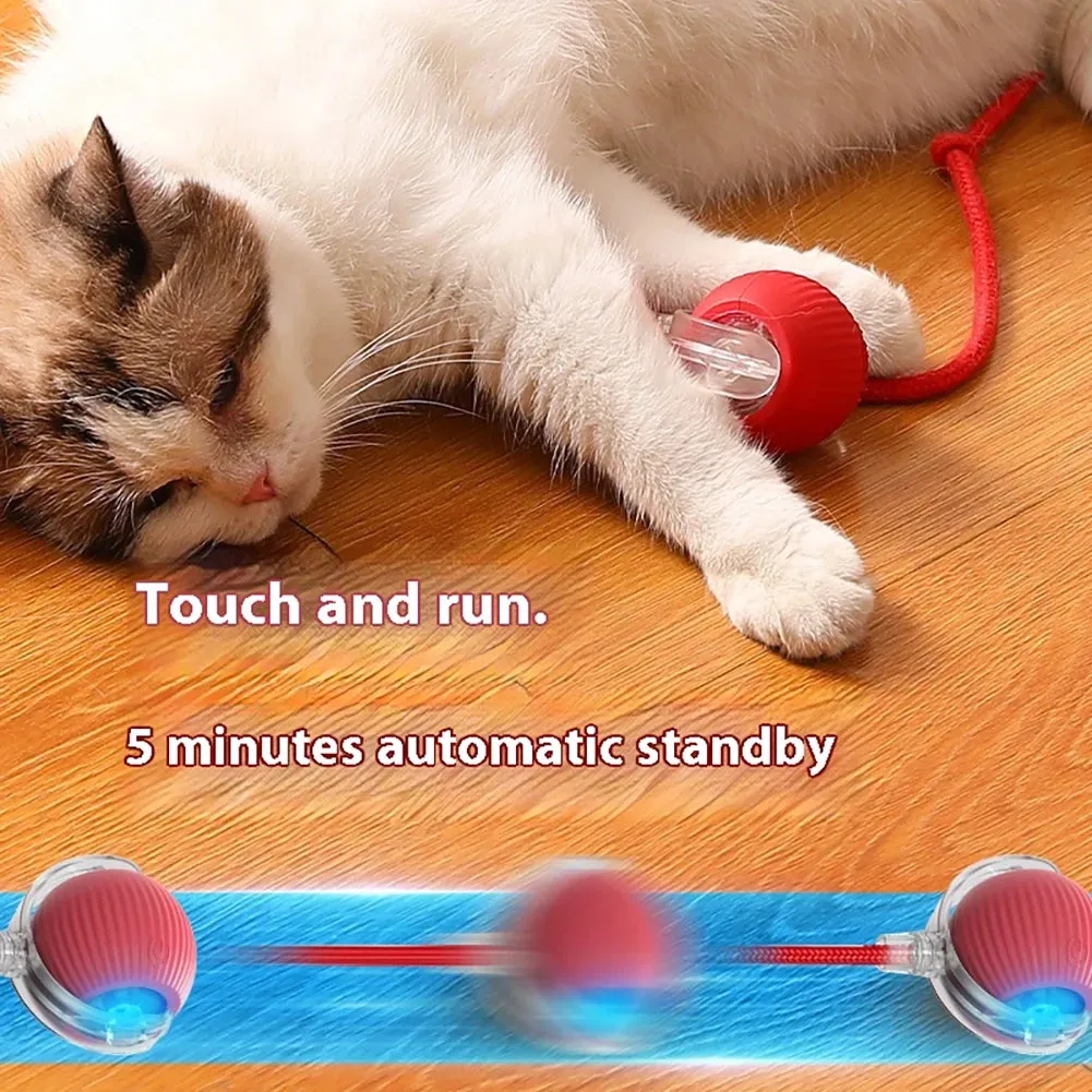 Smart Rechargeable Cat & Dog Interactive Rolling Toy