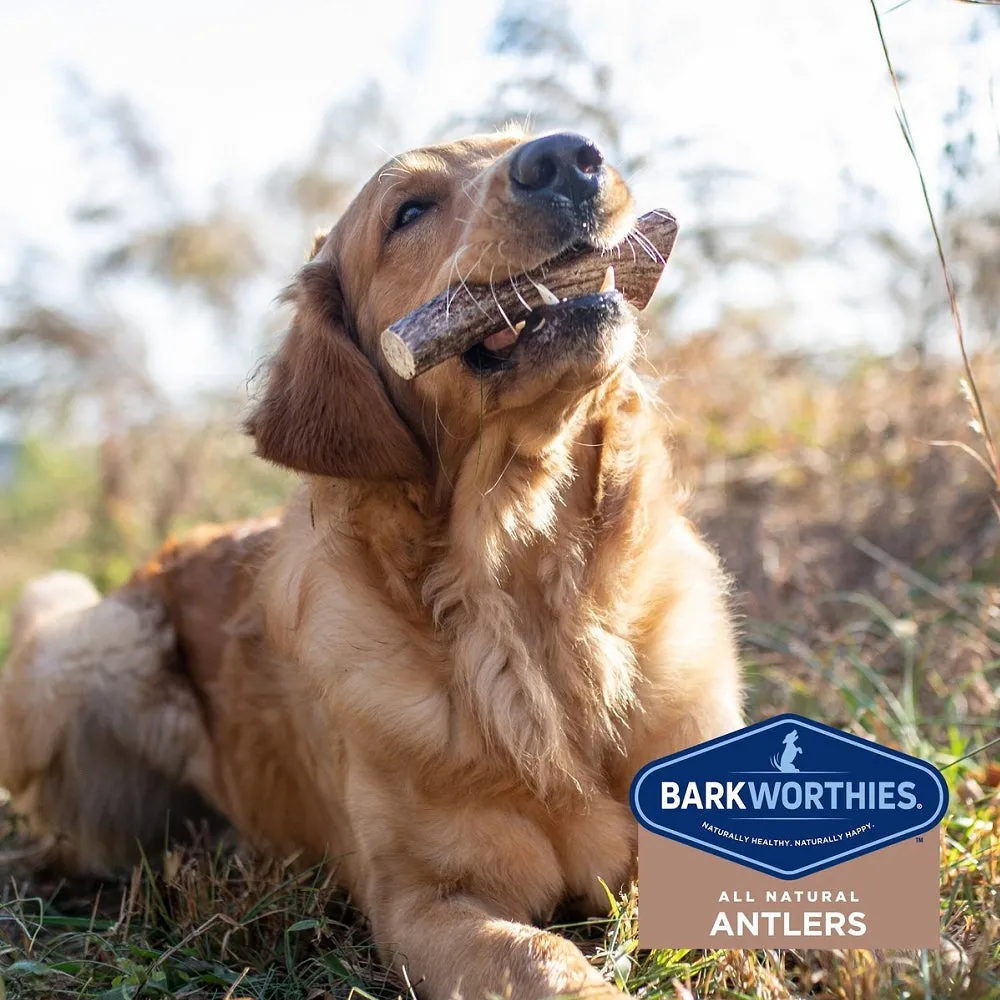 Split Elk Antler Dog Chew