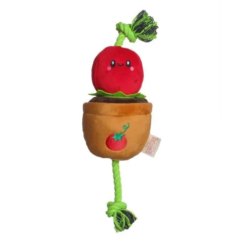 Territory Treat-and-Tug Tomato Dog Toy