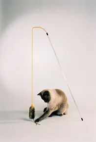 The Purrfect Cat Toy