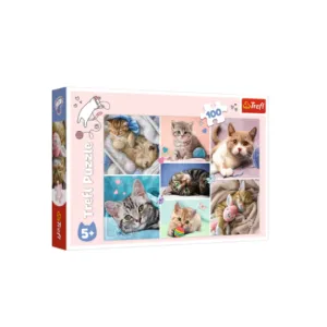 Trefl 100 Piece Puzzle In the cat world