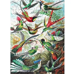 Twigg Jigsaw Puzzles Ernst Haeckel Hummingbirds - 228 Piece