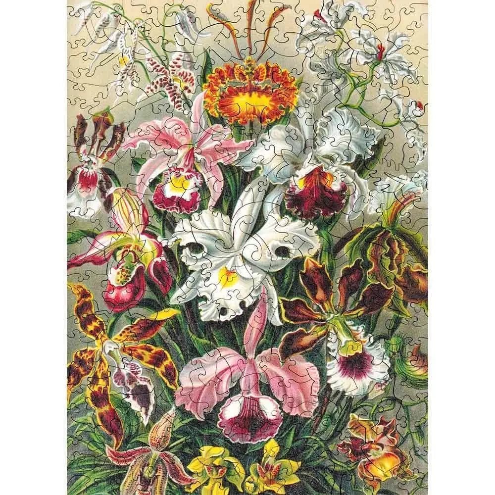 Twigg Jigsaw Puzzles Ernst Haeckel Orchids - 200 Piece