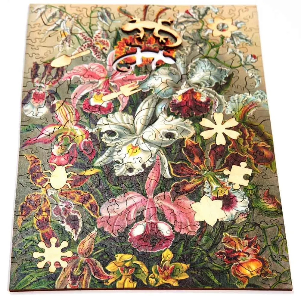 Twigg Jigsaw Puzzles Ernst Haeckel Orchids - 200 Piece