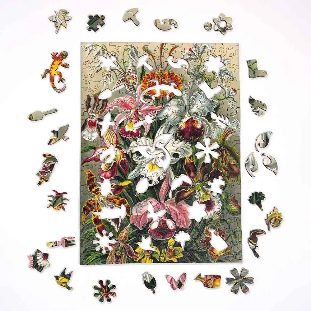 Twigg Jigsaw Puzzles Ernst Haeckel Orchids - 200 Piece