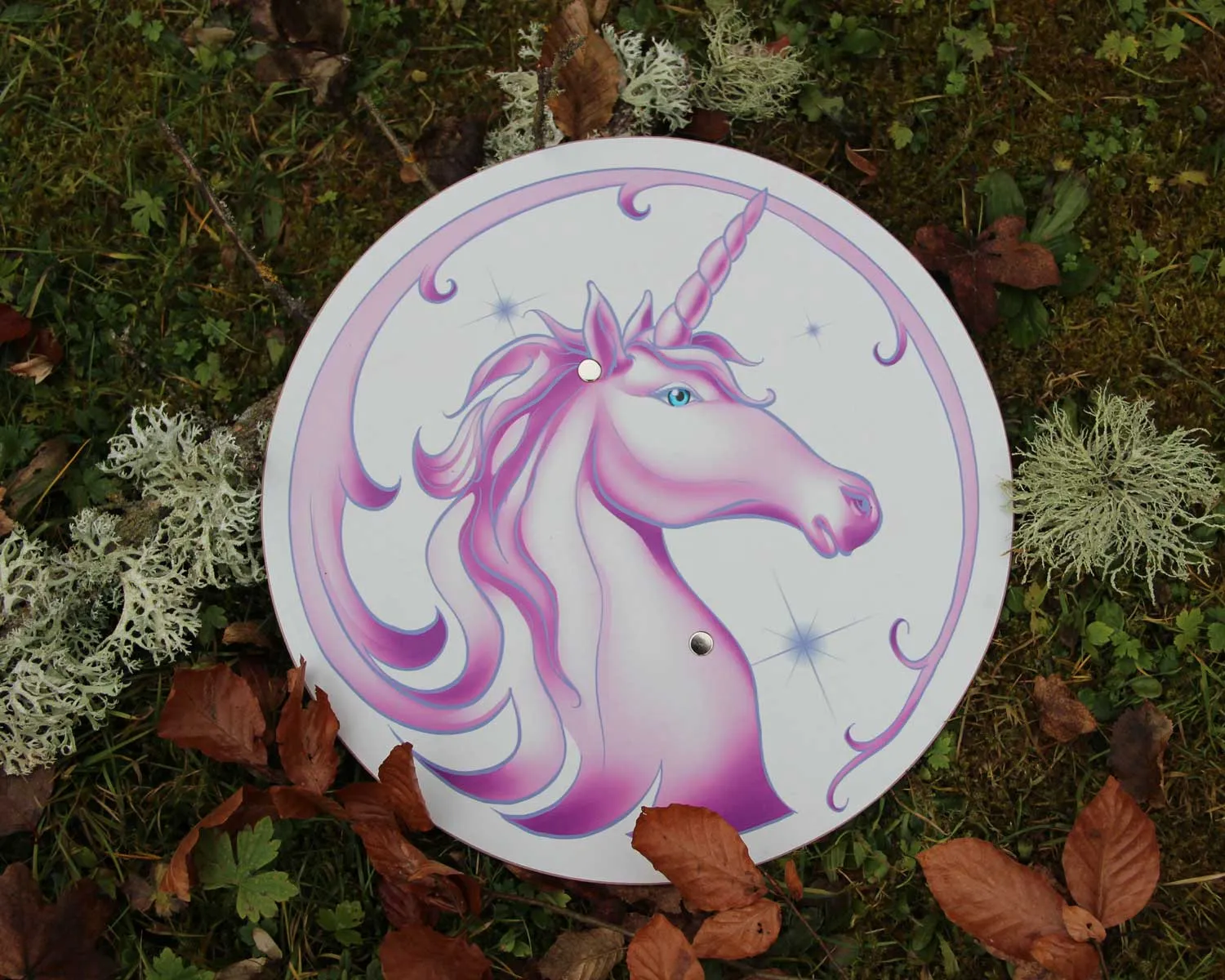 Vah Arabella Unicorn Wooden Shield